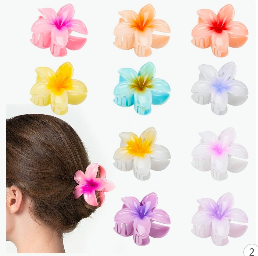 Hair Clip