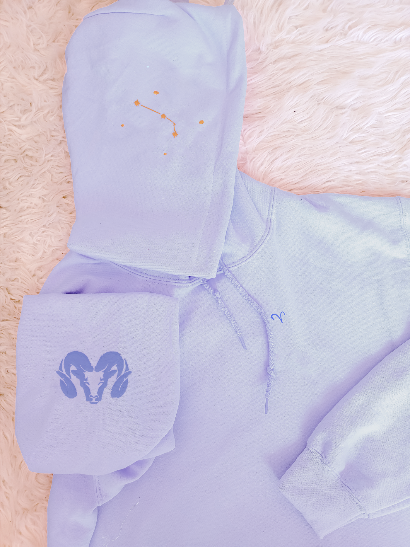 ARIES Pastel Hoodie