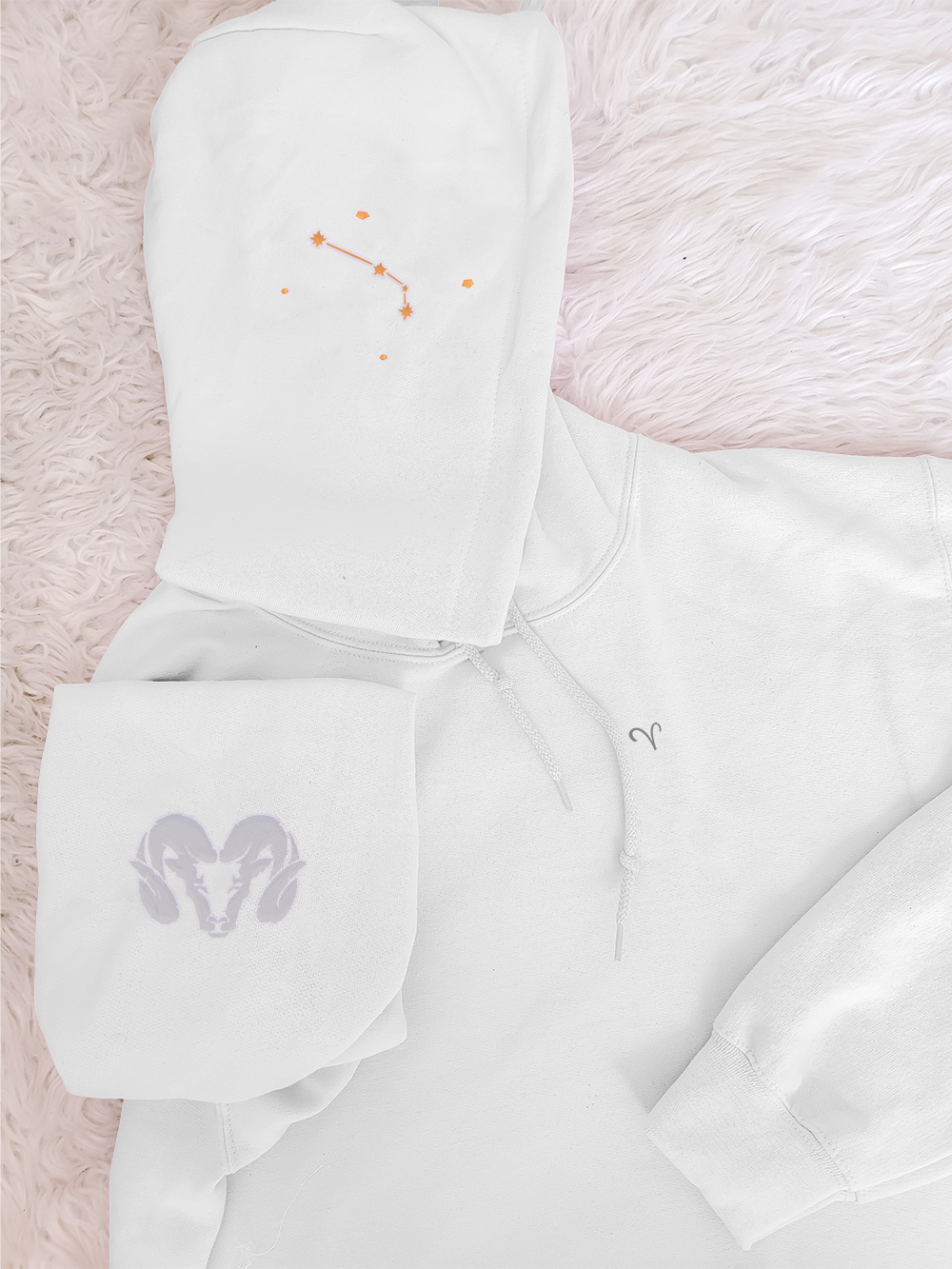 ARIES Pastel Hoodie