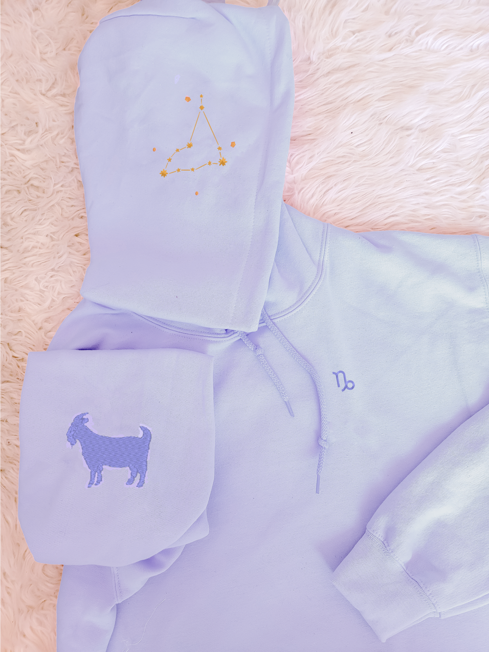 CAPRICORN Pastel Hoodie